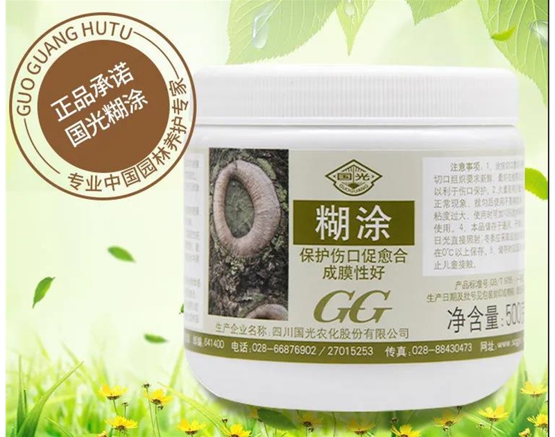 國光糊涂